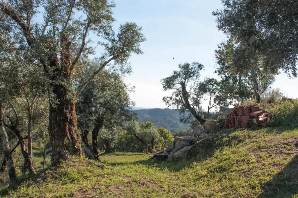 Cantinho Da Pereira Lugar Экстерьер фото